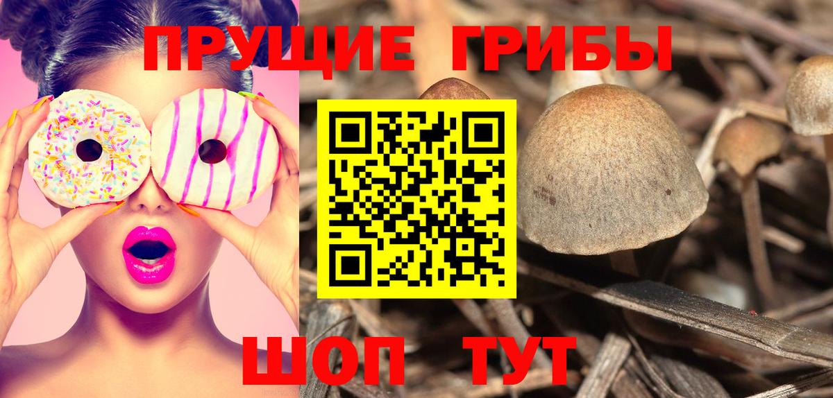 где купить наркоту  Вход с VPN  Псилоцибиновые грибы GOLDEN TEACHER  Кстово  Псилоцибиновые грибы ЛСД 