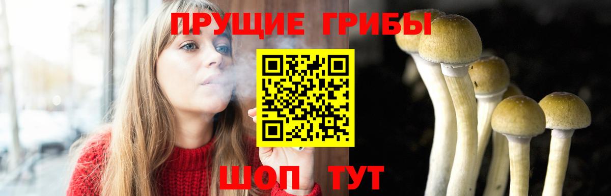 Псилоцибиновые грибы мухоморы Кстово